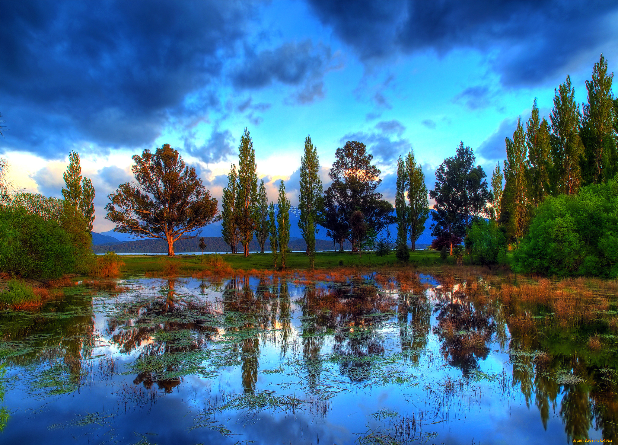 �������, ����, �����, ������